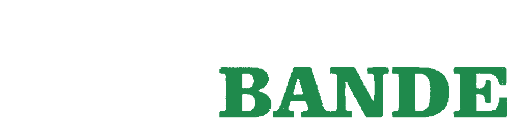 Assegaai Bande tyres & auto