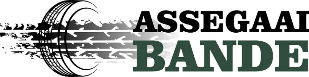 Assegaai Bande tyres & auto
